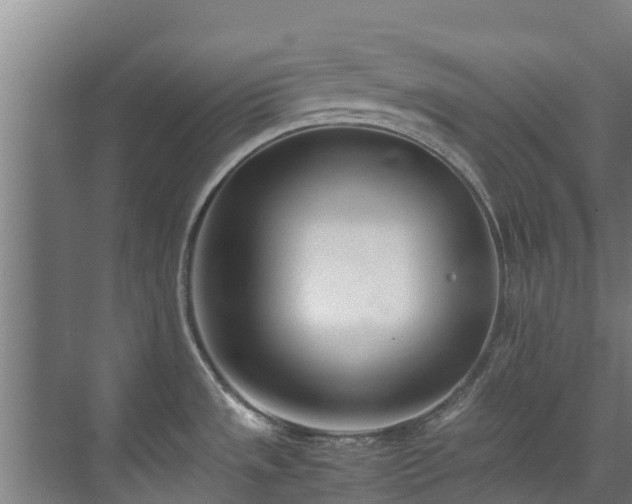 X0000071951533200607141446