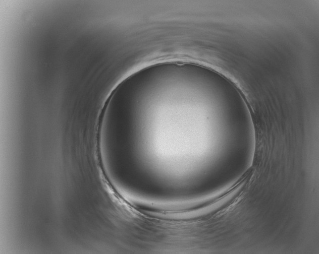 X0000071951534200607141446