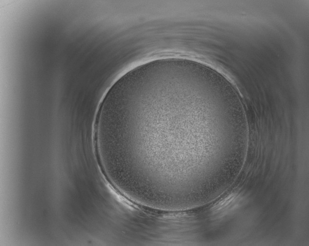 X0000071951535200607141446