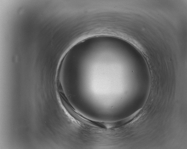 X0000071951536200607141446