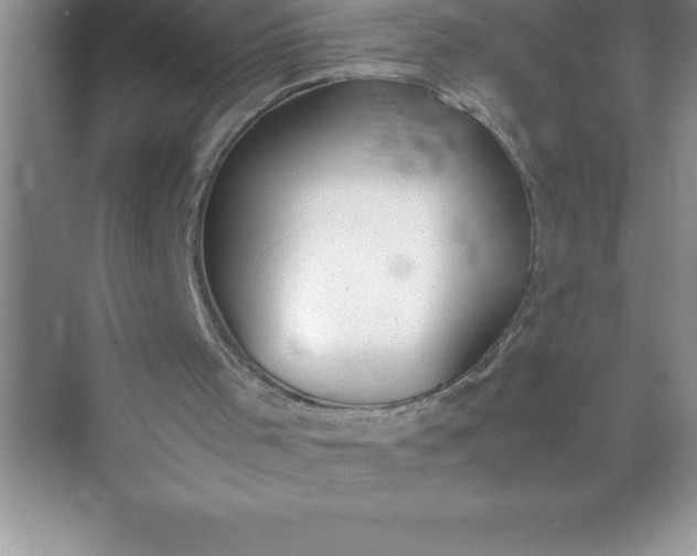 X0000071950001200607212238