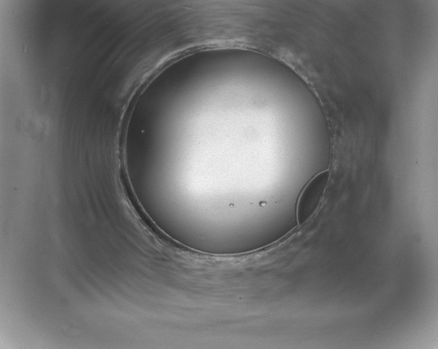 X0000071950002200607212238