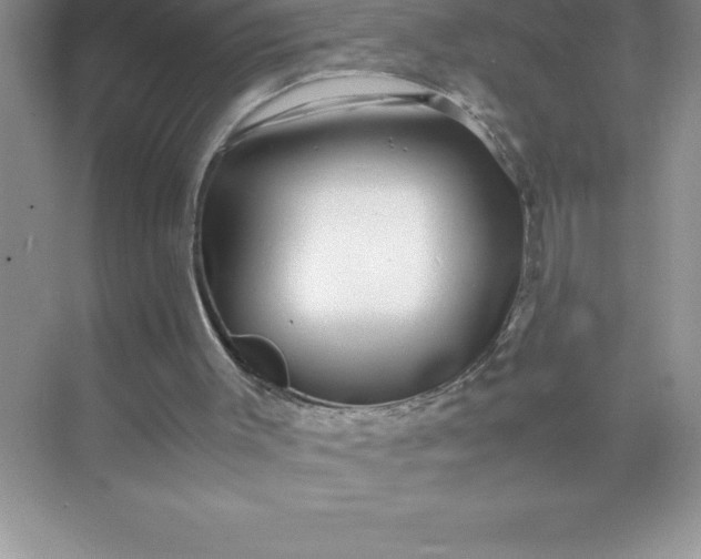 X0000071950003200607212238