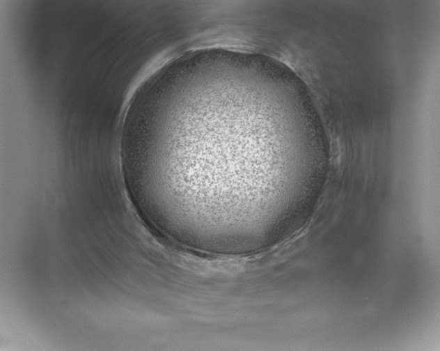 X0000071950004200607212238