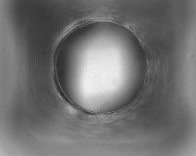 X0000071950005200607212238