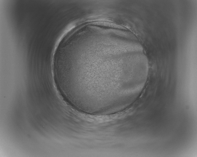 X0000071950006200607212238