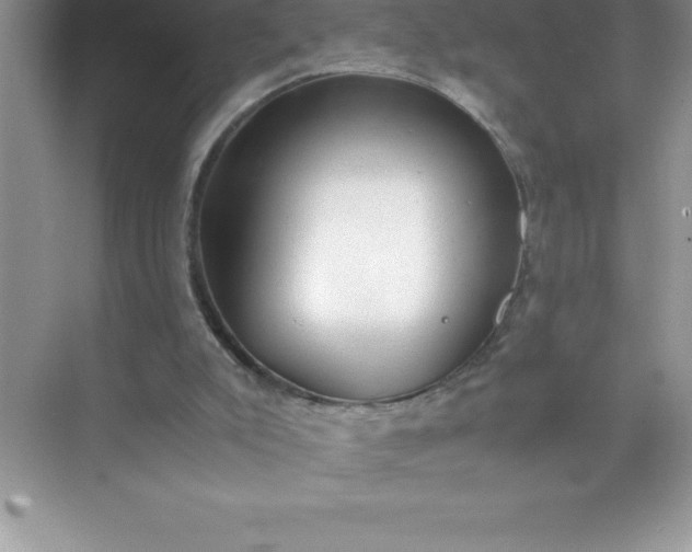 X0000071950007200607212238