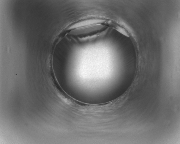 X0000071950009200607212238