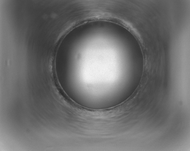 X0000071950010200607212238