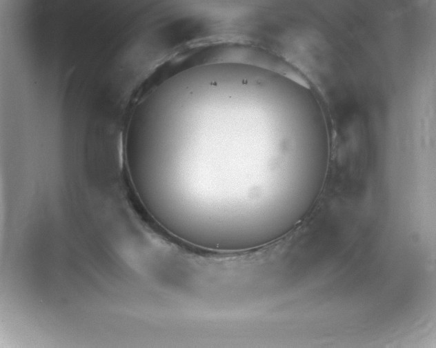 X0000071950013200607212238