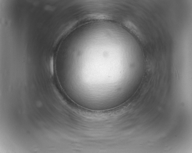 X0000071950014200607212238