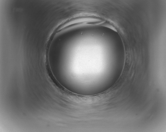 X0000071950015200607212238