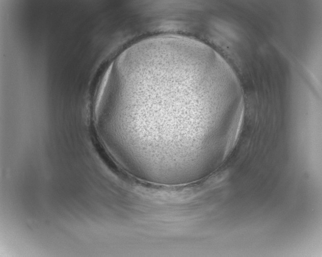 X0000071950016200607212238