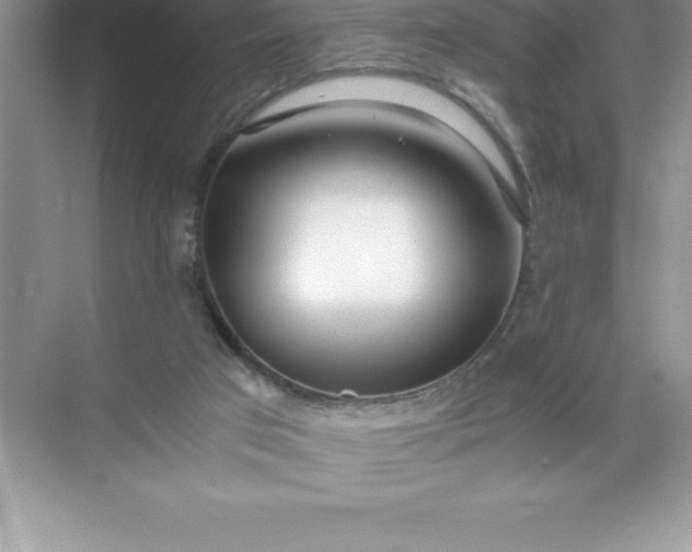 X0000071950017200607212238