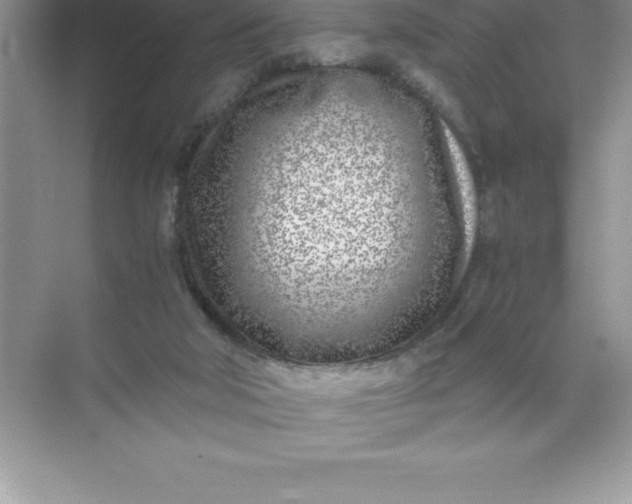 X0000071950018200607212238