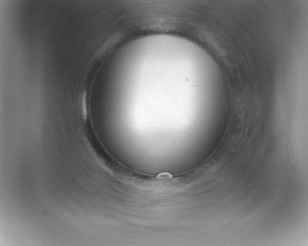 X0000071950020200607212238