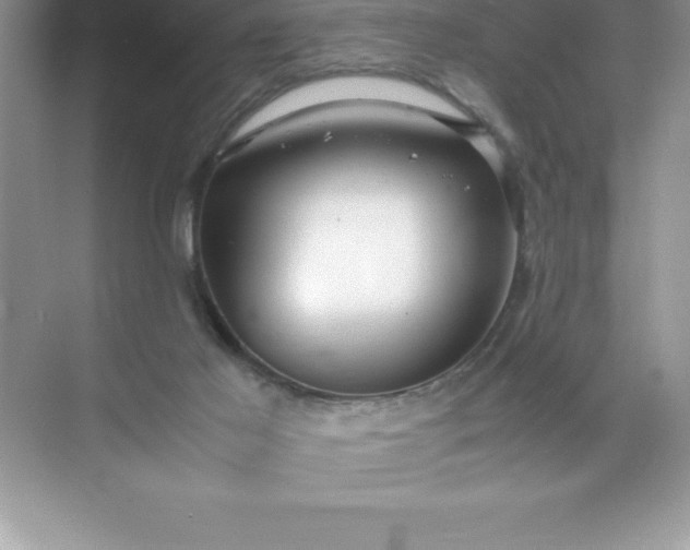 X0000071950021200607212238