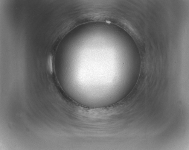 X0000071950022200607212238