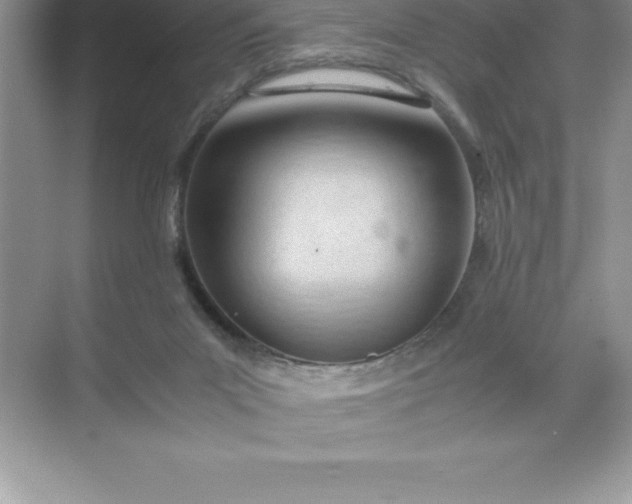 X0000071950023200607212238