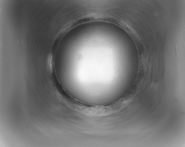 X0000071950024200607212238