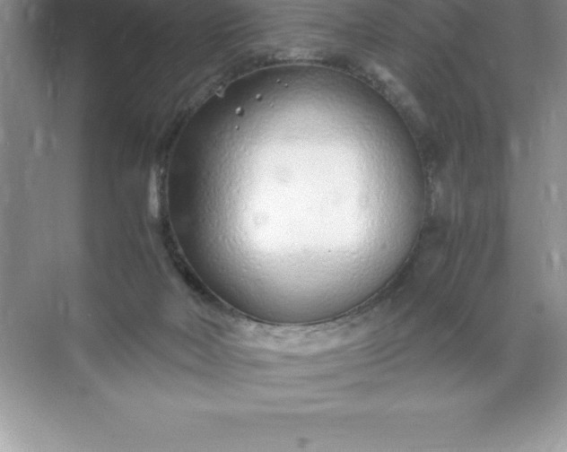 X0000071950026200607212238