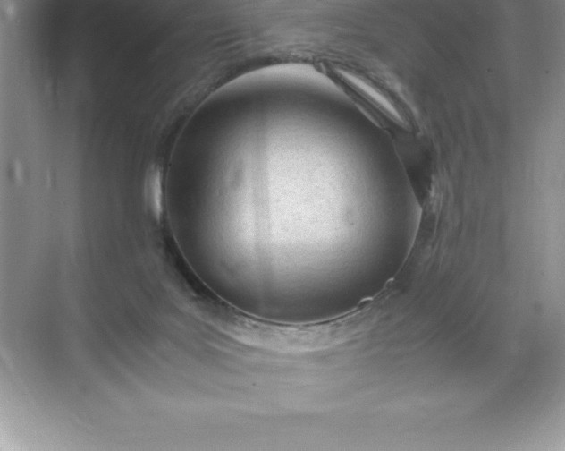 X0000071950027200607212238