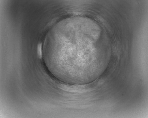 X0000071950028200607212238