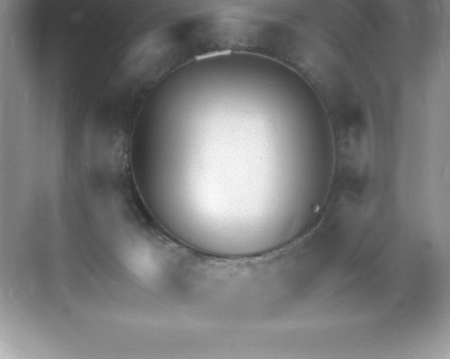 X0000071950029200607212238