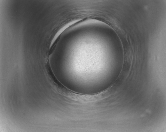 X0000071950031200607212238