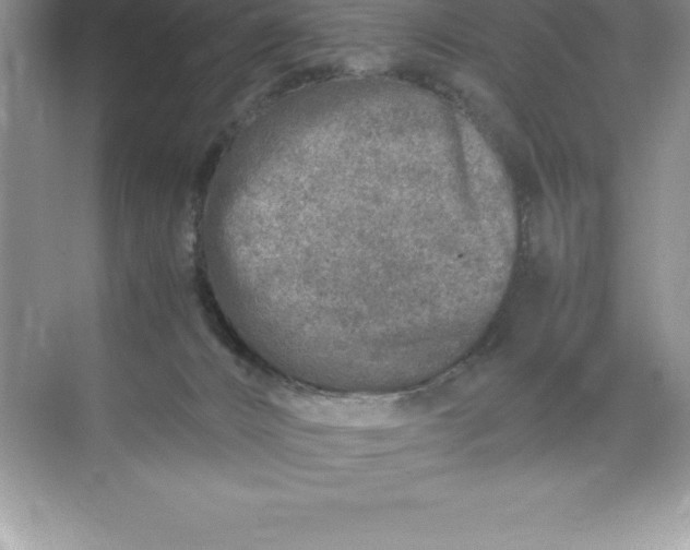 X0000071950032200607212238