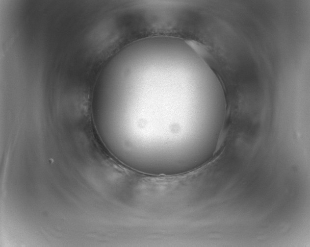 X0000071950033200607212238