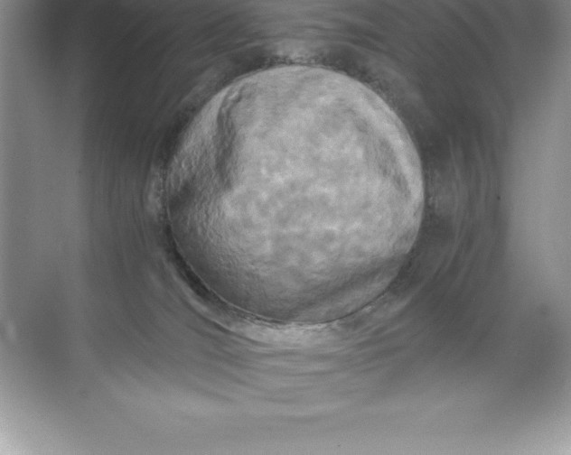 X0000071950036200607212238