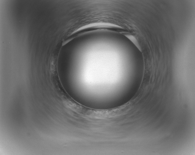 X0000071950037200607212238