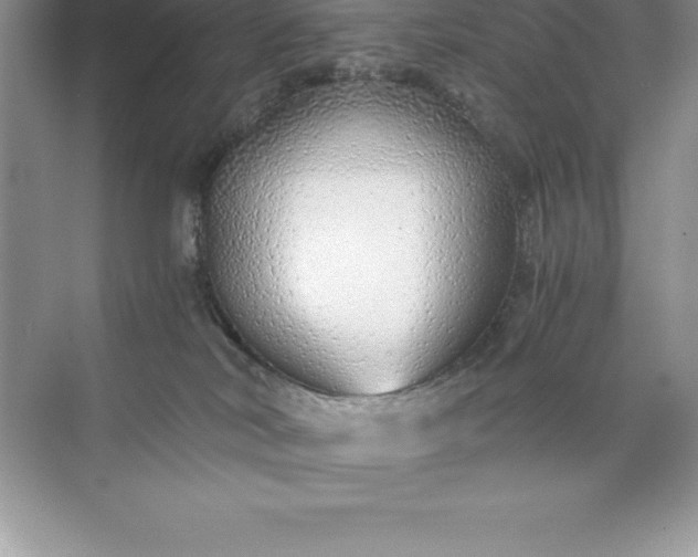 X0000071950038200607212238