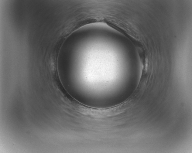 X0000071950039200607212238