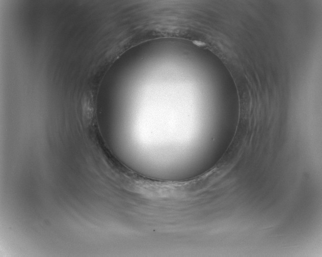 X0000071950040200607212238