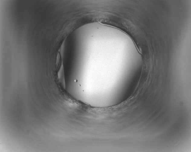 X0000071950041200607212238