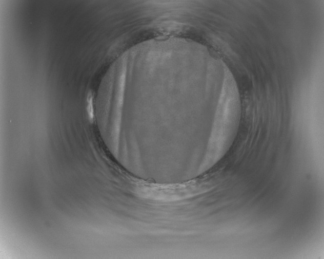 X0000071950042200607212238