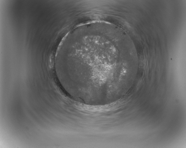 X0000071950043200607212238