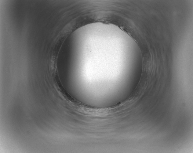 X0000071950044200607212238