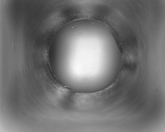 X0000071950045200607212238