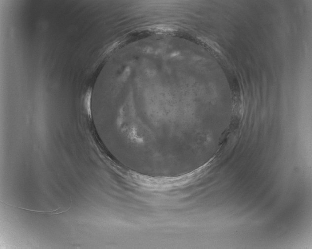 X0000071950047200607212238