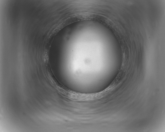 X0000071950048200607212238