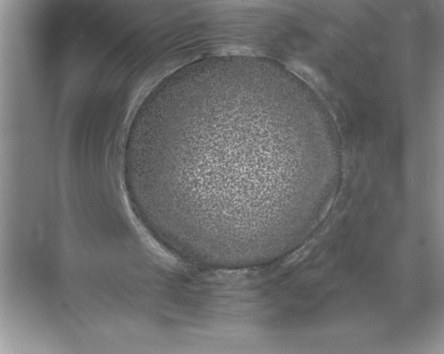 X0000071950049200607212237