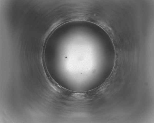 X0000071950051200607212237