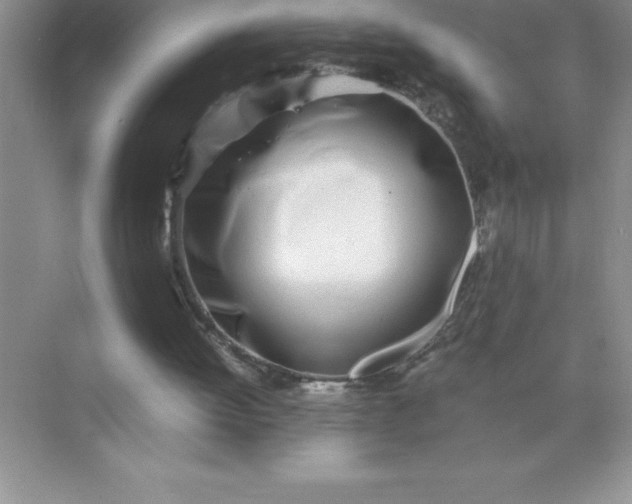 X0000071950052200607212237