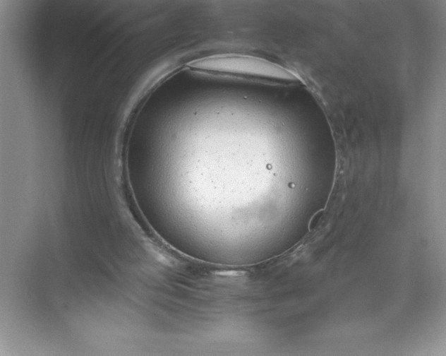 X0000071950053200607212237