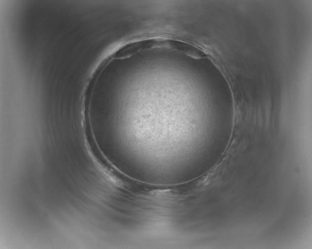 X0000071950054200607212237