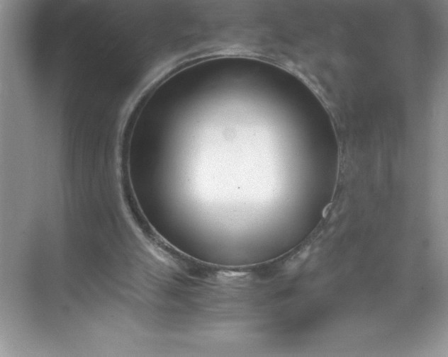 X0000071950055200607212237