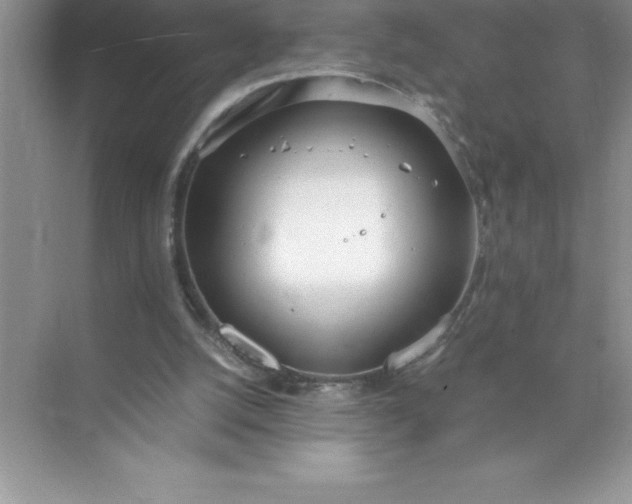 X0000071950056200607212237